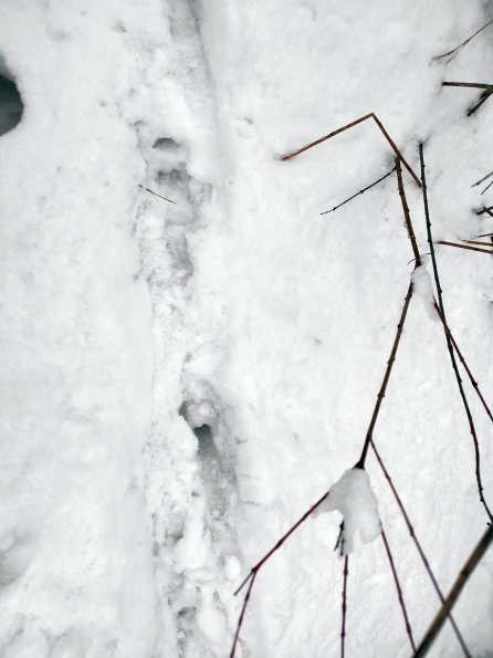 PA_UKR_abovefootprintphoto_20220203173646981