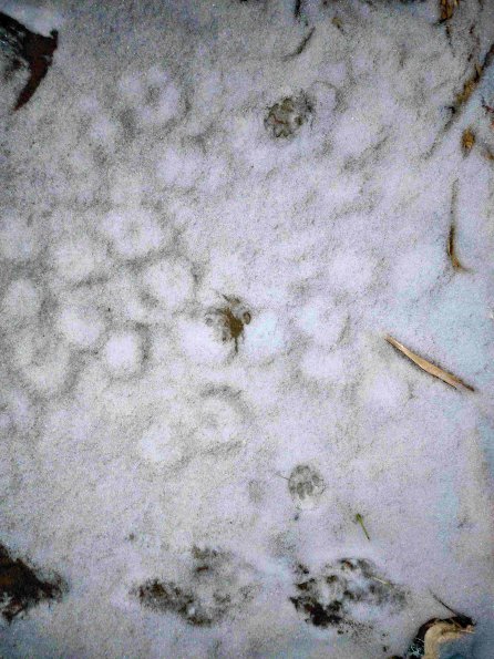 PA_UKR_abovefootprintphoto_20220203180150152