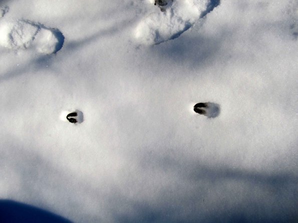 PA_UKR_abovefootprintphoto_20220521204524513