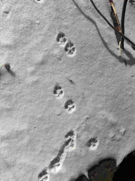 PA_UKR_abovefootprintphoto_20220522113531044