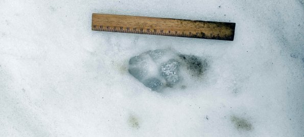 PA_UKR_abovefootprintphoto_20220522121348268