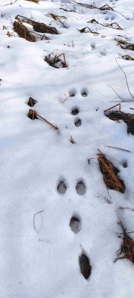 PA_UKR_abovefootprintphoto_20220522122641284