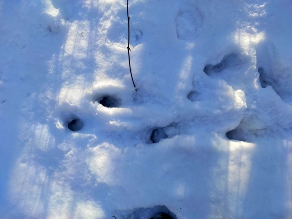 PA_UKR_abovefootprintphoto_20220522123417561