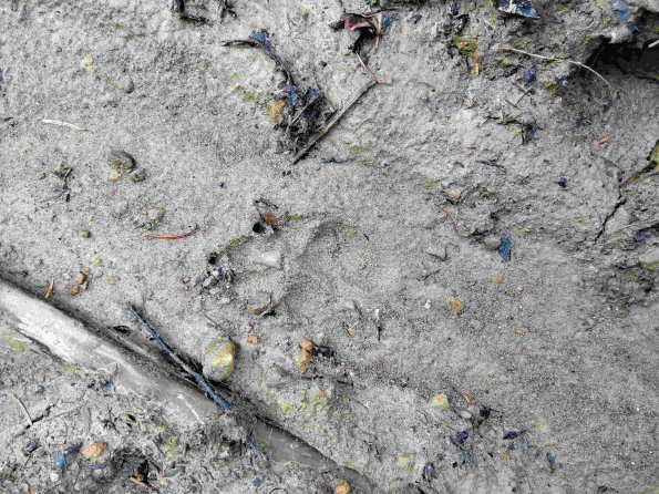 PA_UKR_abovefootprintphoto_20220522124934558