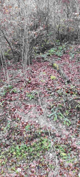 PA_UKR_abovefootprintphoto_20220522131423285