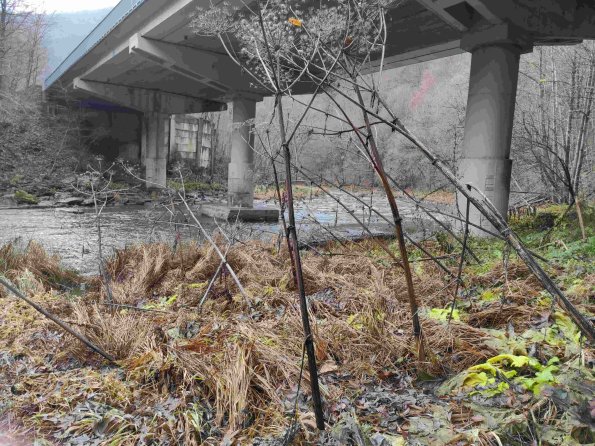 PA_UKR_entranceareaphotofrombothsidesunderpass_20211120140920828