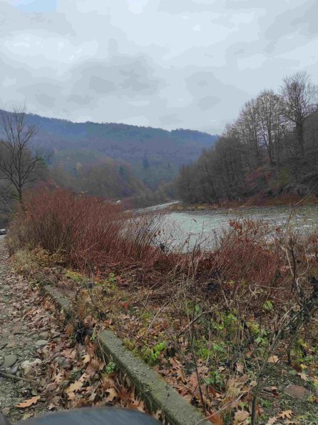 PA_UKR_lcelementphotolinear_20211121120845937