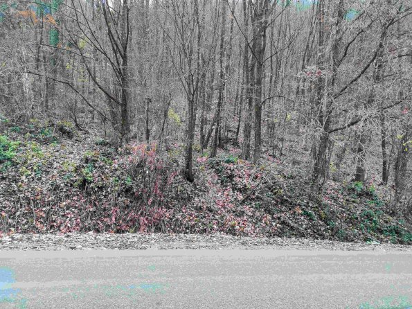 PA_UKR_lcelementphotolinear_20211121120859521