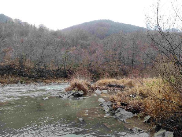 PA_UKR_photofromsurroundingunderpass_20211120150616470