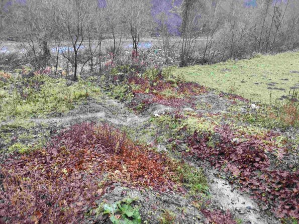 PA_UKR_photofromsurroundingunderpass_20211121124918108