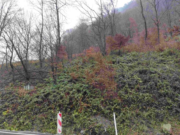 PA_UKR_photofromsurroundingunderpass_20211121124941851